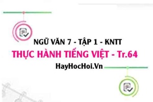 Soạn bài Thực hành tiếng Việt trang 64 lớp 7 Kết nối tri thức tập 1